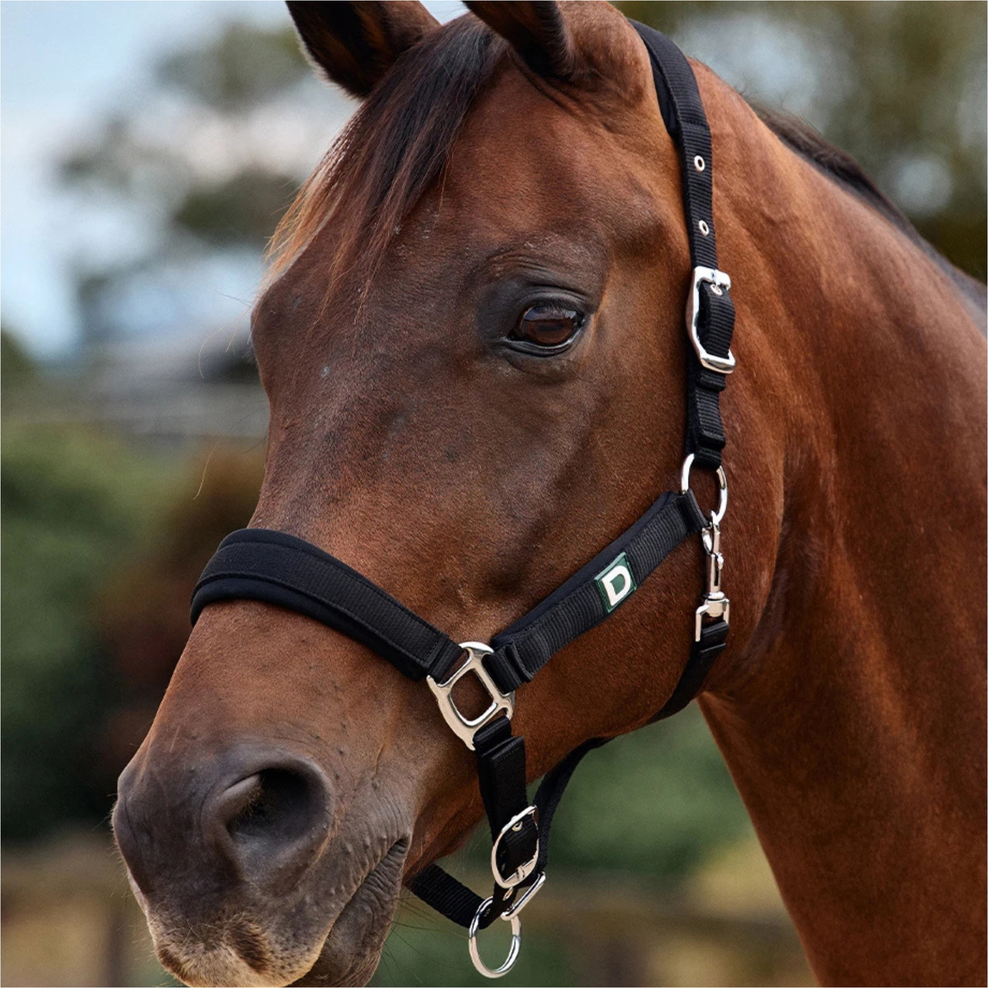 2026 Dublin Neo Comfort Headcollar 1031035 - Black